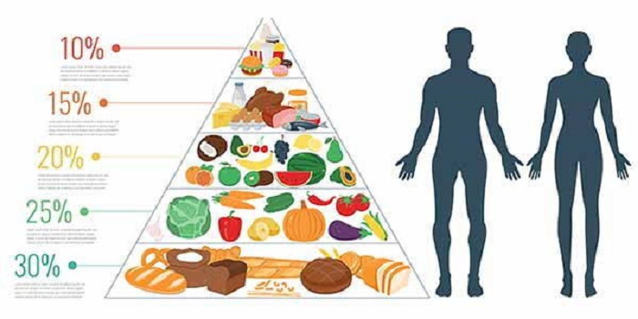 Piramide Alimentare Cosè E Come Funziona 5093